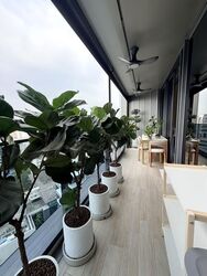 Amber Park (D15), Condominium #618259621
